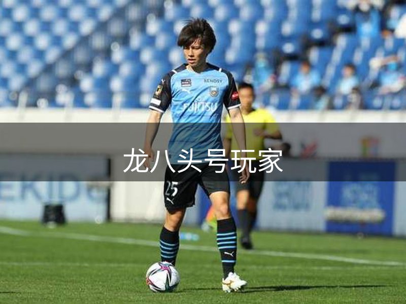 龙八头号玩家介绍